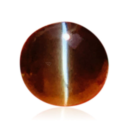 Collection image for: Cat’s Eye