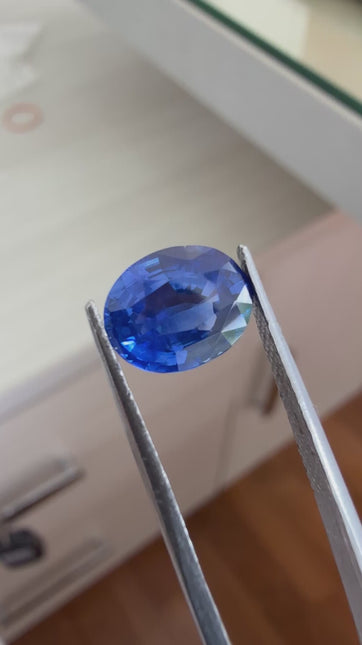 Ceylon Blue Sapphire - 3.00 ct