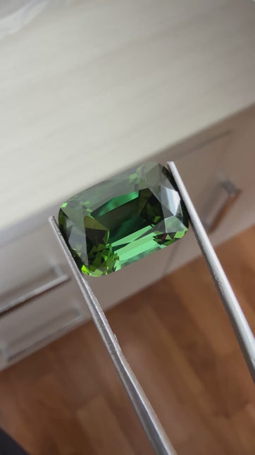 Natural Green Tourmaline - 12.68 ct